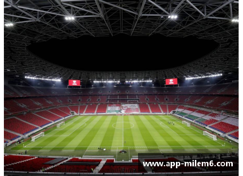 瑞典之光：聚焦球场传奇